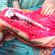 #952384