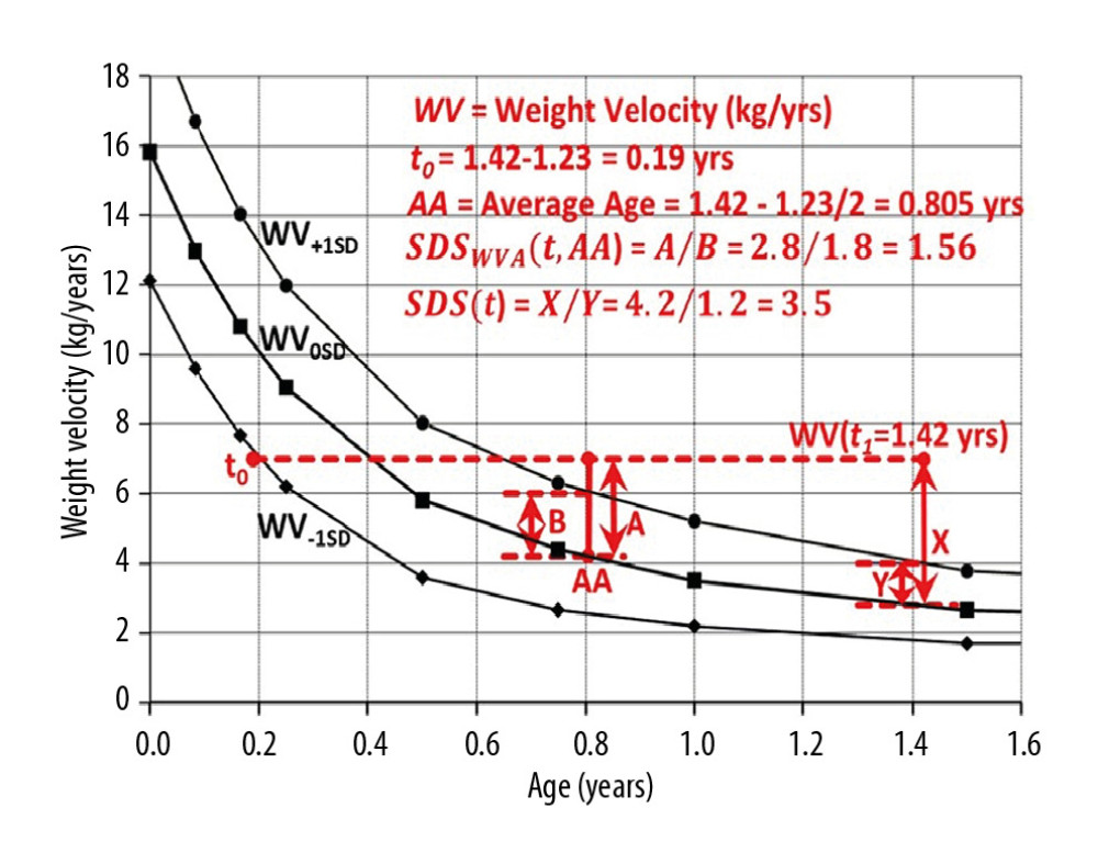 Weight Velocities of the +1 SD, 0 SD and −1 SD standard weight curves for Dutch boys [5]. The weight velocity data point at t1=1.42 years was set at WV(t1)=7 kg/year. In the first example (red lines below/right), the Standard Deviation Score at age t1 was SDS(t1=1.42)=X/Y=3.5 (Eq. 2a), indicating that the weight velocity at t1=1.42 years was 3.5 Standard Deviations above the mean of the data set, the 0 SD weight velocity at age t1. In the second example (red dashed lines middle), the SDSWVA(t1,AA)=A/B=1.56 (Eq. 4a), with the weight velocity at age t1=1.42 years being 1.56 Standard Deviations above the mean of the data set, the 0 SD weight velocity at average age AA=0.805 years.
