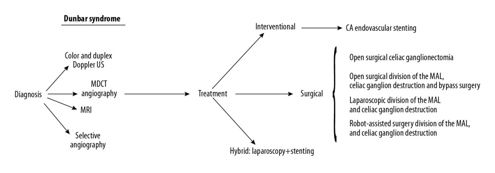 Diagnostic-therapeutic flow chart.
