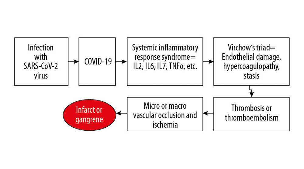 Graphical abstract displaying the proposed vasculopathic sequence of coronavirus disease 2019 (COVID-19) caused by the severe acute respiratory syndrome coronavirus 2 (SARS-CoV-2) resulting in gangrenous toes. IL – interleukin; TNFα – tumor necrosis factor α.
