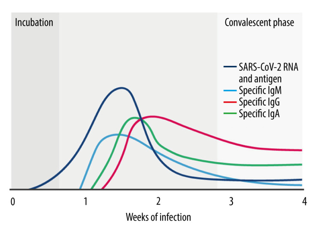 Possible immune response in severe acute respiratory syndrome coronavirus 2 (SARS-CoV-2). SARS-COV-2 RNA and antigen are shown with dark blue; specific immunoglobulin (Ig)M, with light blue; specific IgG, with red; and specific IgA, with green. The figure depicts a peak in IgM followed by increasing IgG and IgA levels. The SARS-COV-2 RNA starts to decline after a peak in specific IgM and IgG levels. Low levels of antibodies may persist even after the convalescent phase [10].