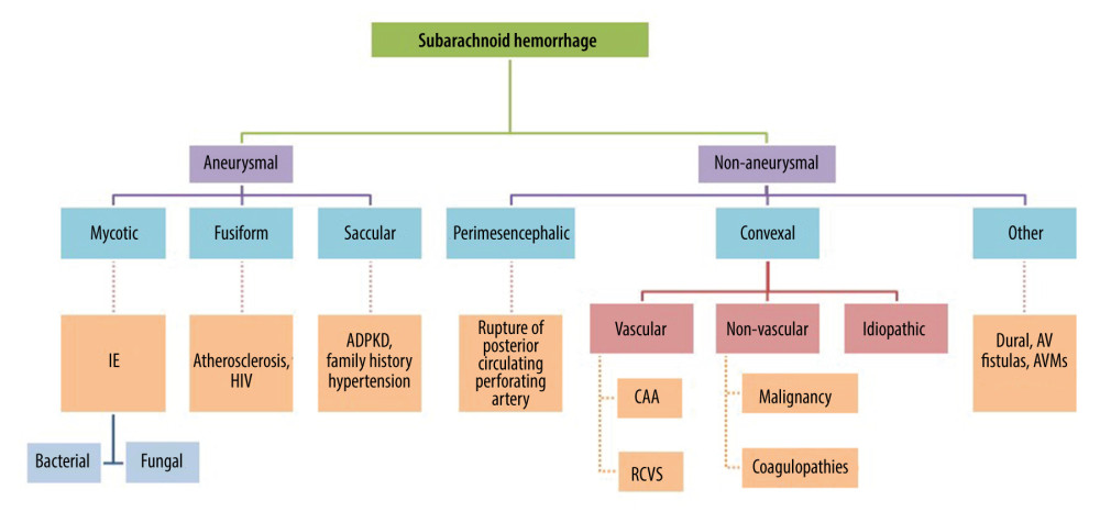 Flow chart depicting various types of subarachnoid hemorrhage. IE – infective endocarditis; HIV – human immunodeficiency virus; ADPKD – autosomal dominant polycystic kidney disease; CAA – cerebral amyloid angiopathy; RCVS – reversible cerebral vasoconstriction syndrome; AV – arteriovenous; AVM – arteriovenous malformation.