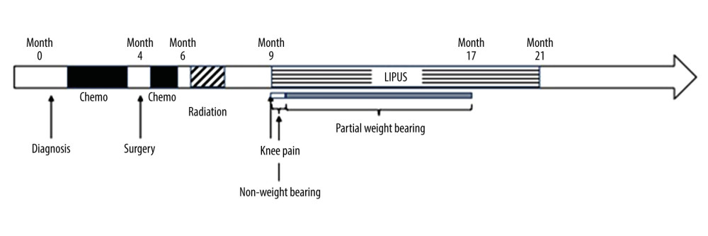 Timeline of our patient’s clinical course. Chemo – chemotherapy; LIPUS – low-intensity pulsed ultrasound.