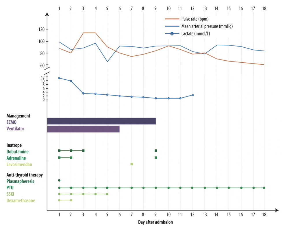 Graph showing the clinical course of the patient including mean arterial pressure, pulse rate, lactate level, and selected management before and after the initiation of extracorporeal membrane oxygenation (ECMO).