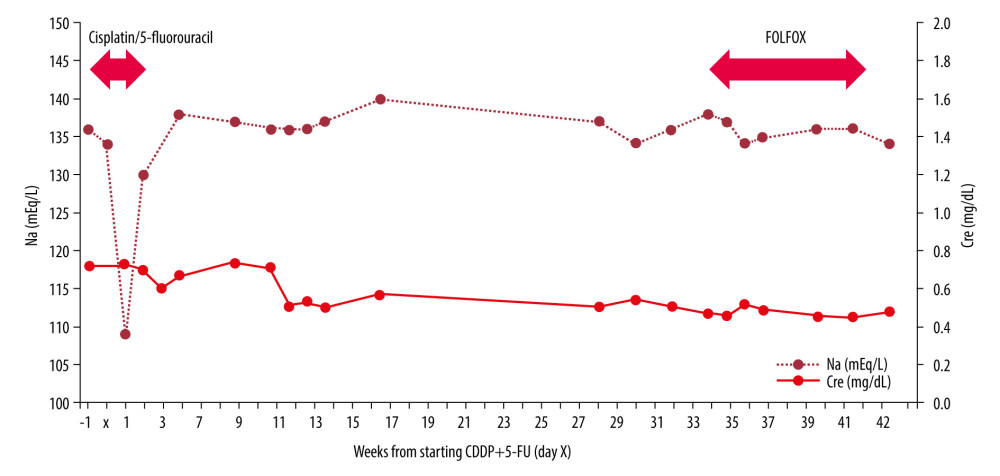 Serum sodium concentration and creatinine levels before and after chemotherapy.