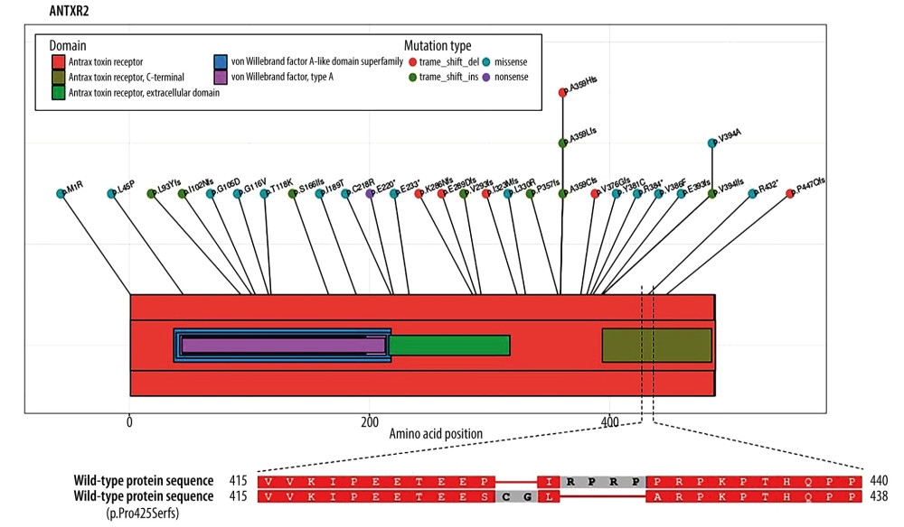 Showing the schematic picture of Antxr2, with protein domains and positions of the previously reported mutations in patients with JHF/IHF and their families. Pairwise alignment between wild-type and mutated protein sequence of our patient was performed using BlastP online software.