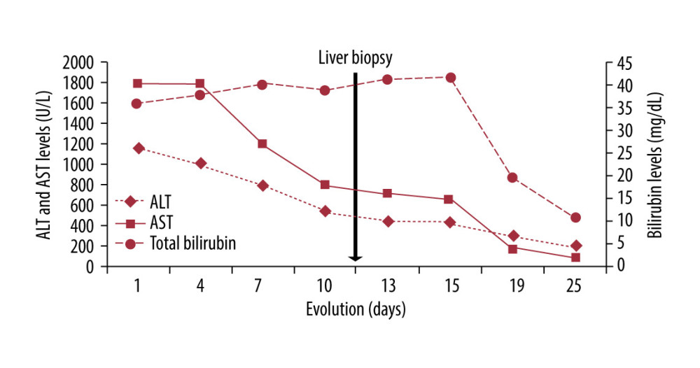 Evolution of laboratory tests since hospital admission. AST – aspartate aminotransferase; ALT – alanine aminotransferase.