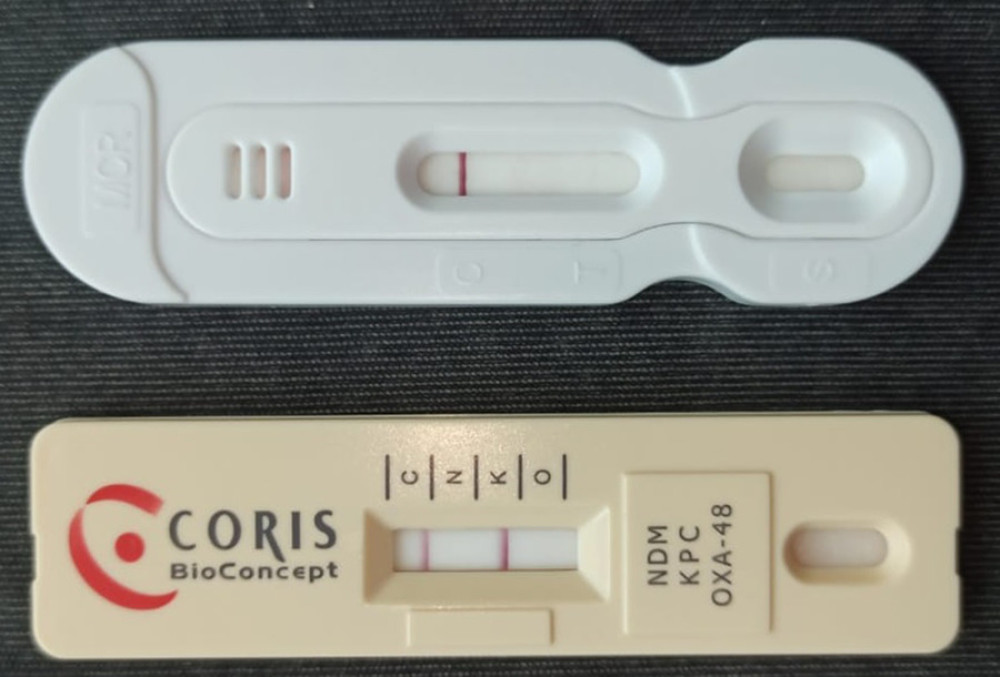 Rapid test for the detection of OXA-48, KPC, and NDM in bacterial isolates (RESISTET-3 O.K.N. K-Set/Coris BioConcept), showing positive reaction for KPC.