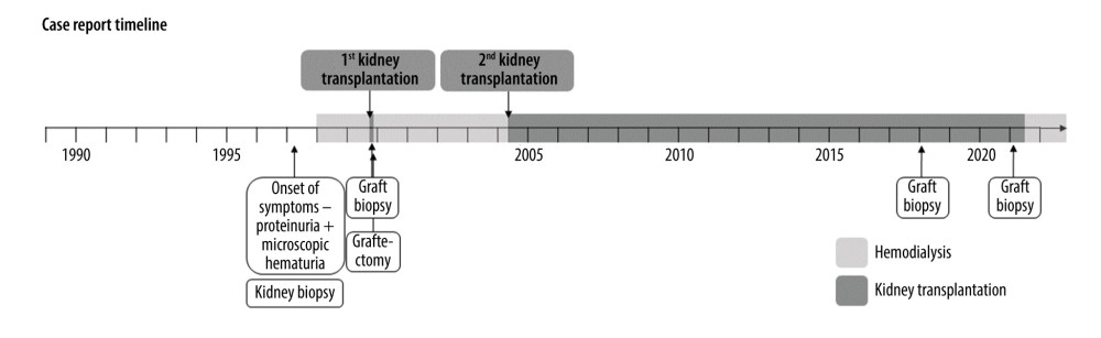 The case report timeline.