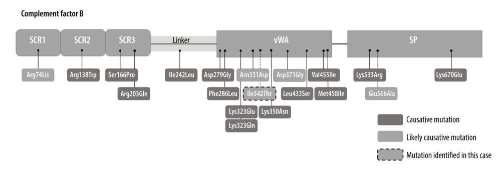 Localization of the mutations in CFB domains. The distances between black dots do not reflect exact distances between individual mutations. Domains of the CFB: SCR1 – short consensus repeat 1, SCR2 – short consensus repeat 2, SCR3 – short consensus repeat 3, vWA – von Willebrand factor type A, SP – serine protease.