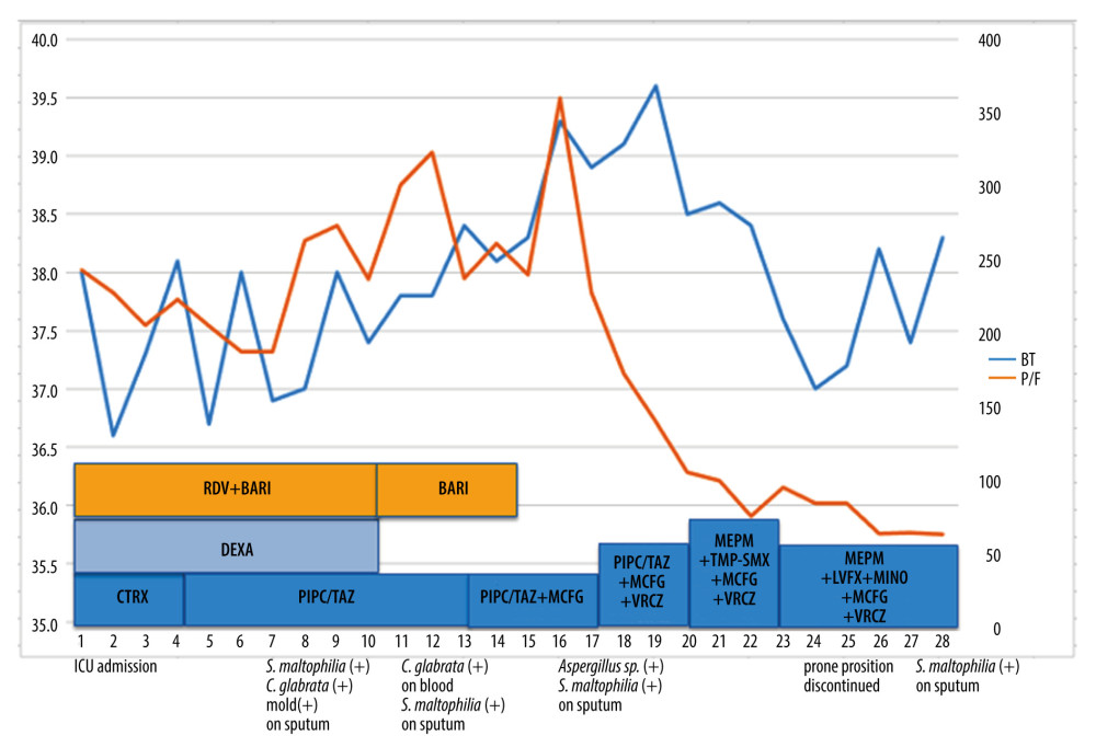 Clinical course of Case 2. On day 24 of hospital admission, the prone position was not effective in improving saturation; therefore, it was discontinued. BARI – baricitinib; RDV – remdesivir; CTRX – ceftriaxone; PIPC/TAZ – piperacillin/ tazobactam; MCFG – micafungin; VRCZ – voriconazole; MEPM – meropenem; TMP-SMX – trimethoprimsulfamethoxazole; LVFX – levofloxacin; MINO – minocycline; DEXA – dexamethasone; ICU – Intensive Care Unit; S. maltophilia – Stenotrophomonas maltophilia; C. glabrata – Candida glabrata; BT – body temperature; P/F – PaO2/FIO2.