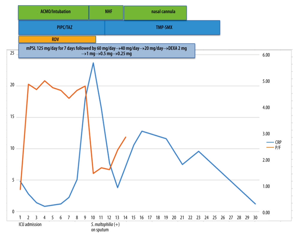 Clinical course of Case 3. RDV – remdesivir; PIPC/TAZ – piperacillin/tazobactam; TMP-SMX – trimethoprimsulfamethoxazole; ICU – Intensive Care Unit; ECMO – extracorporeal membrane oxygenation; NHF – nasal high flow; mPSL – methylprednisolone; DEX – dexamethasone; CRP – C-reactive protein; P/F – PaO2/FIO2.