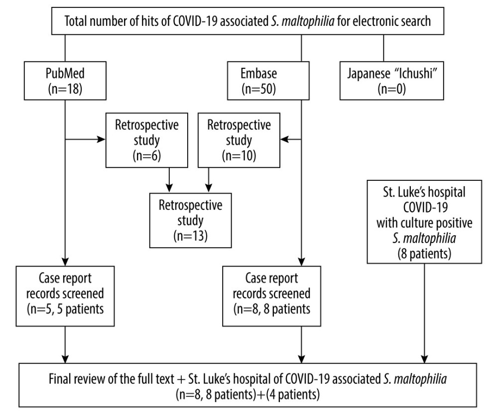 Flow chart of the systematic review process.