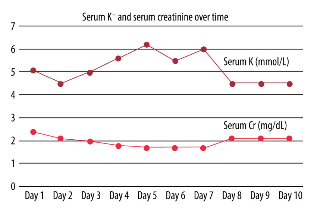 Graphical representation of serum potassium and serum creatinine levels over the course of hospital admission. Heparin drip was present on days 1 to 4, held on day 5, restarted on day 6, and held in the evening of day 7.