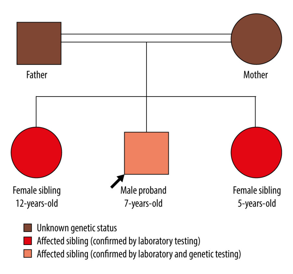 Family genetic pedigree.