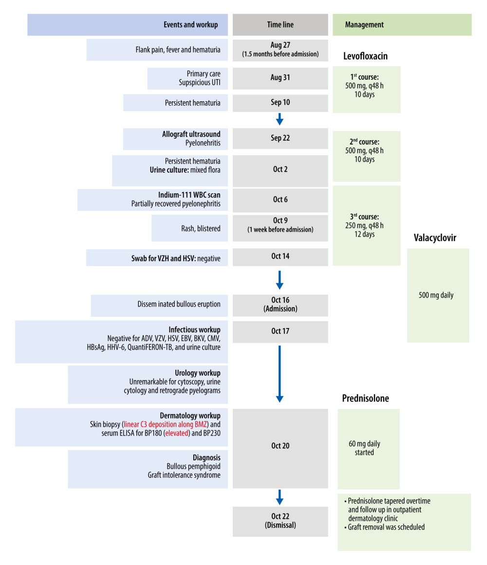 Timeline of disease course, diagnostic workup, and management of the patient. UTI – urinary tract infection; WBC – white blood cell; VZV – varicella-zoster virus; HSV – herpes simplex virus; ADV – adenovirus; EBV – Epstein-Barr virus; BKV – BK virus; CMV – cytomegalovirus; HBsAg – hepatitis B surface antigen; HHV – human herpesvirus; TB – tuberculosis; BMZ – basement membrane zone; ELISA – enzyme-linked immunosorbent assay; BP – bullous pemphigoid.