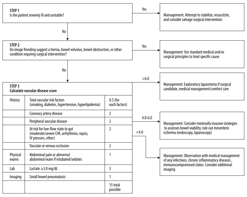 Management algorithm for pneumatosis and/or portal venous gas (PVG) identified on computed tomography scan. CHF – congestive heart failure; IV – intravenous. Modified from Wayne E, et al. J Gastrointest Surg 2010 Mar;14(3):437–48.