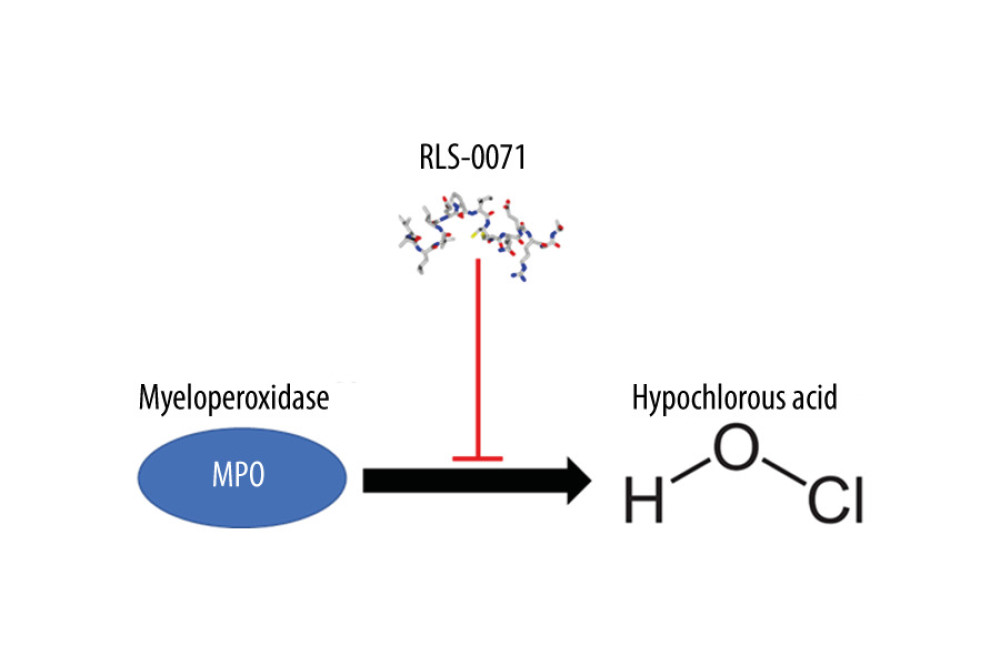Extracellular myeloperoxidase (MPO) produces hypochlorous acid that causes direct tissue damage and inflammation. RLS-0071 binds to the heme ring of myeloperoxidase, inhibiting hypochlorous acid production.