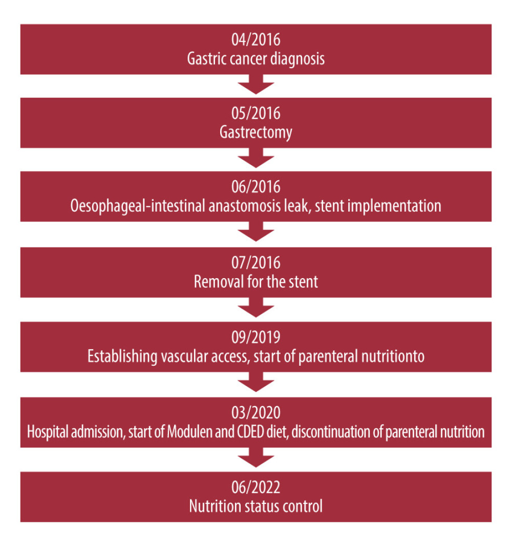 Timeline showing the patient’s medical history.