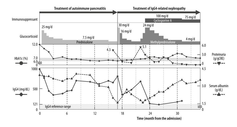 Clinical course of this case. The clinical course of this case is shown, including the periods of type 1 autoimmune pancreatitis and IgG4-related membranous nephropathy. The time course is given in months from the initial admission due to type 1 autoimmune pancreatitis. Laboratory findings: hemoglobin A1C (HbA1c; closed circles with solid lines), proteinuria (closed triangles with broken lines, upper), immunoglobulin G4 (IgG4); square with solid lines), serum albumin (closed triangles with broken lines, lower), and the contents of medication treatment (top) are shown.