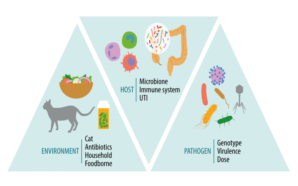 This graphic depicts the epidemiological triangle of infectious disease. Focusing on the interaction between the host, the environment, and the pathogen can help us understand this rare case of community-acquired C. difficile.