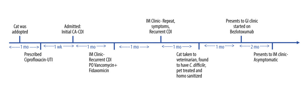 This graphic depicts the timeline of the patient’s treatment and symptoms, and the cat’s diagnosis and treatment.