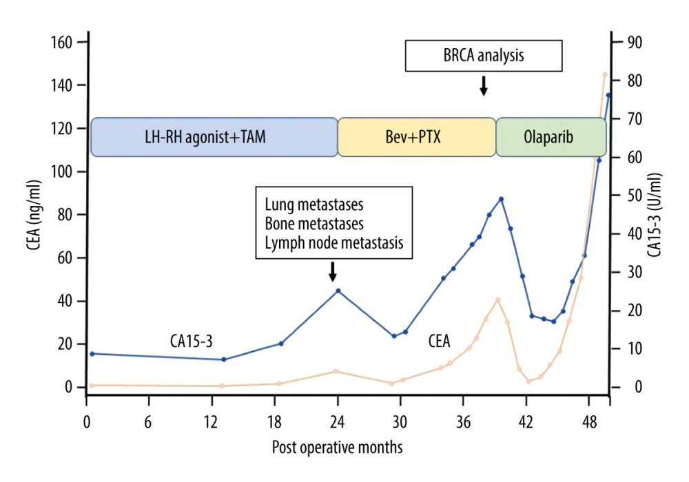 Postoperative patient’s clinical course. The process of treatment and the levels of tumor markers (CEA and CA15-3) are shown. Thirty-three months after the operation, BRCA analysis was performed under the first-line chemotherapy for multiple metastases of the breast cancer. The mutation of BRCA 2 was detected, and olaparib was administered for the second line chemotherapy. TAM – tamoxifen citrate; Bev – bevacizumab; PTX – paclitaxel.