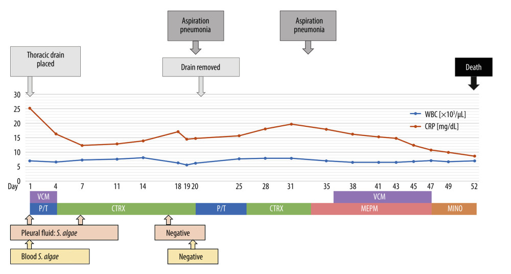 Clinical course of disease in our patient. Shewanella species was detected in both pleural effusion and blood cultures on the day of admission. We inserted a chest tube, and initiated piperacillin/tazobactam and vancomycin empirically and switched to ceftriaxone. As a result, the effusion was successfully treated. However, on hospitalization day 53, the patient died of aspiration pneumonia. WBC – white blood cell; CRP – C-reactive protein; VCM – vancomycin; P/T – piperacillin/tazobactam; CTRX – ceftriaxone; MEPM – meropenem; MINO – minocycline; S. algae – Shewanella algae.