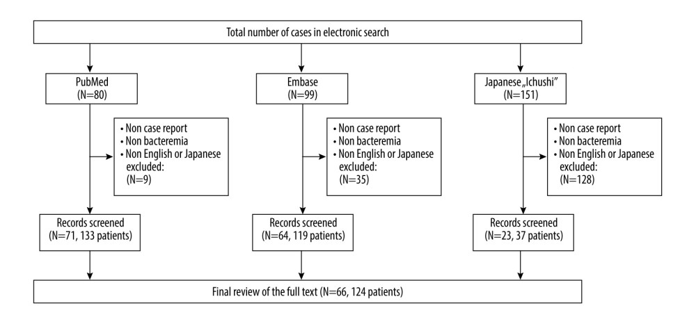 Flow chart of the literature review process.