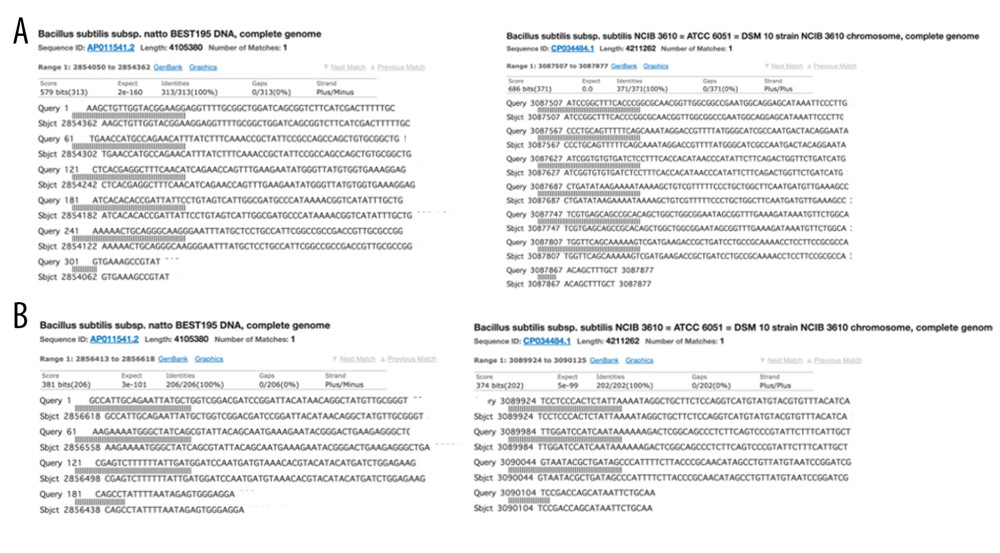 Genetic analysis results showing that the isolates of our specimens Bacillus subtiliis var. natto and Bacillus subtilis subsp. subtilis were homologous to the sequence of BioF (A) and BioW (B).