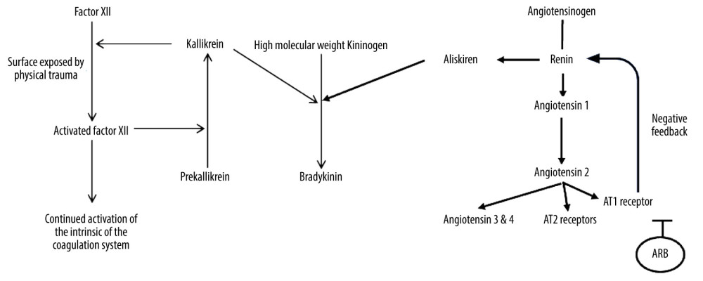 Activation of bradykinin release from high-molecular-weight kininogen following trauma-related activation of the intrinsic coagulation pathway through FXII activation. This augments bradykinin release from ARB.