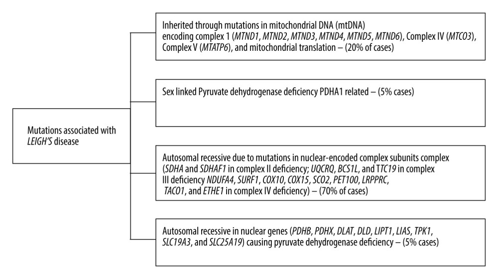 Diagrammatic representation of various mutations causing Leigh disease.