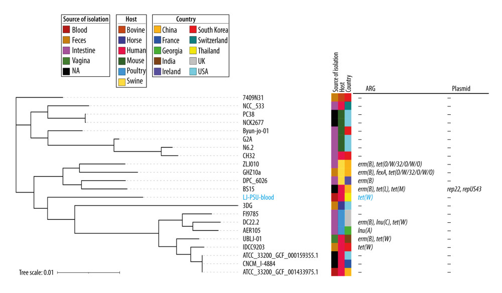 An SNP-based phylogenetic tree of an L. johnsonii LJ-PSU-blood isolate compared to the published isolates from various isolation sources, hosts, and countries. Blue text represents our L. johnsonii LJ-PSU-blood isolate.