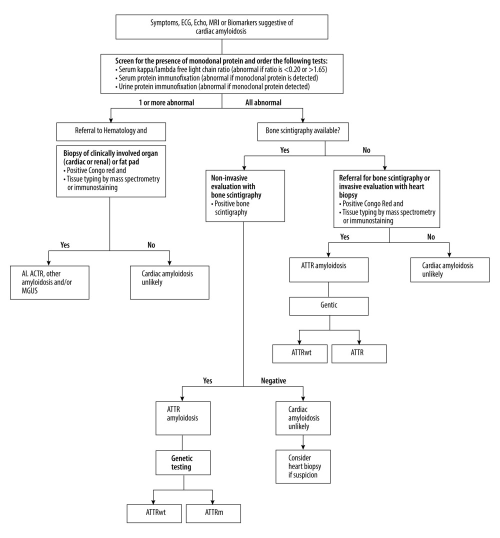 Diagnostic algorithmic approach for cardiac amyloidosis.