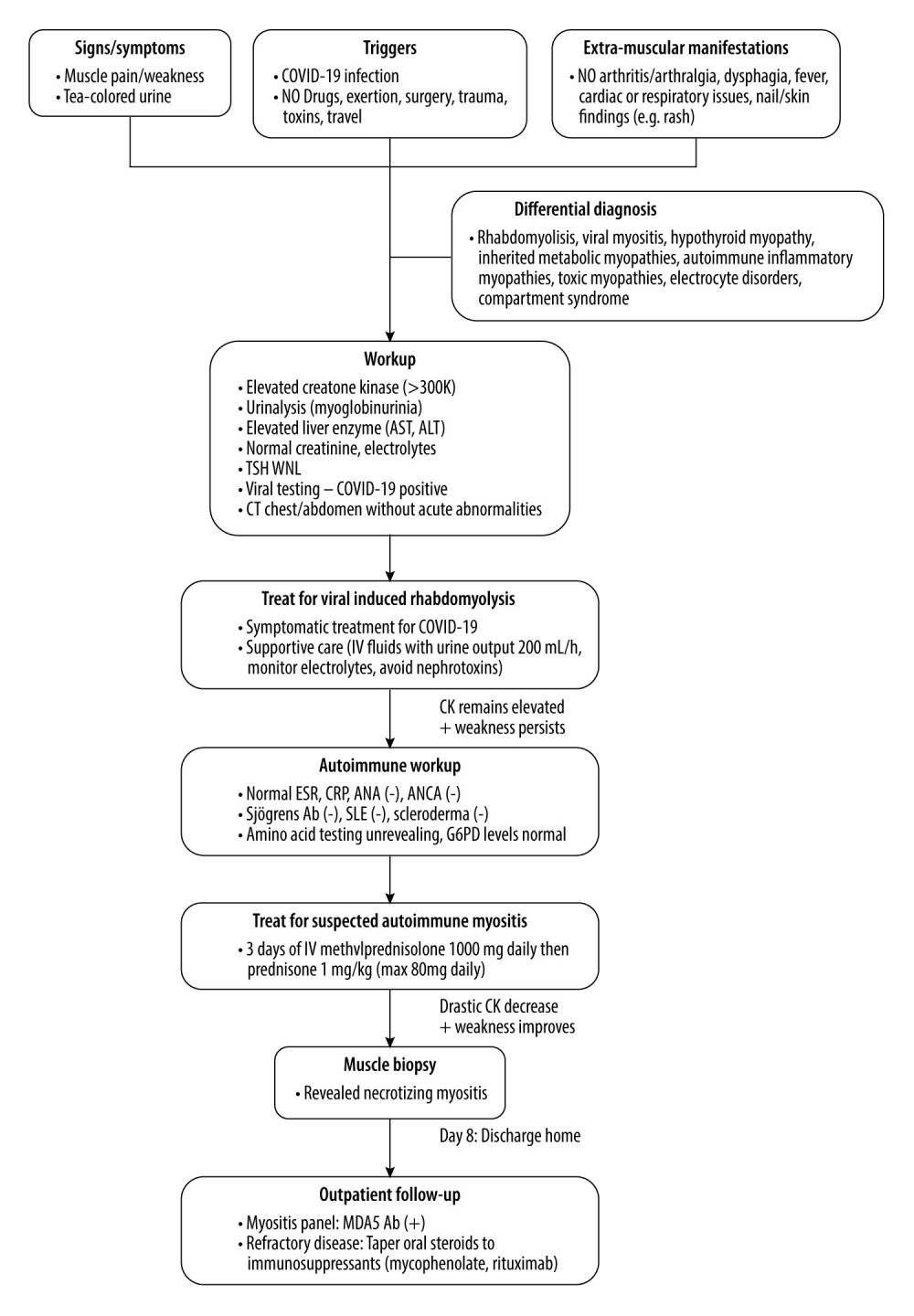 Flow diagram illustrating the decision-making process in diagnosing and managing this case.