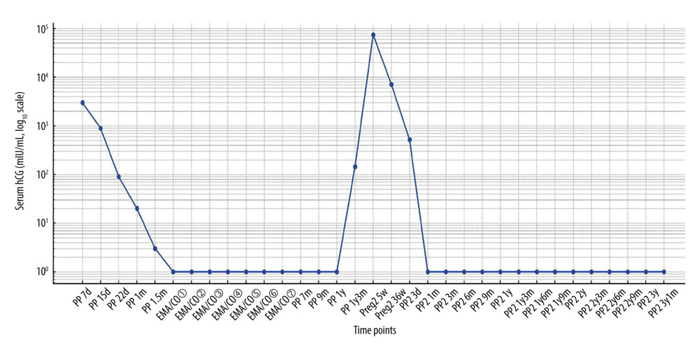 Temporal changes in serum human chorionic gonadotropin (hCG) levels throughout the clinical courseSerial measurements of serum hCG levels during follow-up and the subsequent pregnancy. PP – postpartum; PP2 – postpartum (second pregnancy); Preg2 – second pregnancy; d – days; w – weeks; m – months; y – years. Values plotted at 1 indicate levels below the assay detection limit (<2 mIU/mL).