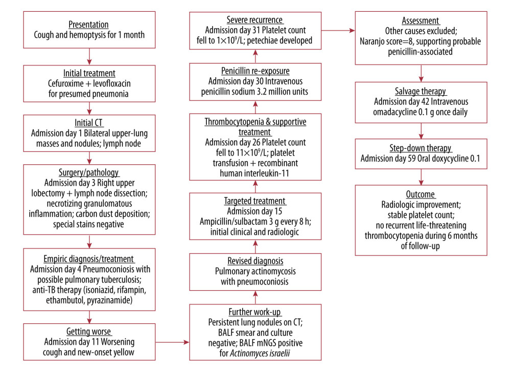 Clinical timeline of diagnosis and treatmentAbbreviations: BALF, bronchoalveolar lavage fluid; CT, computed tomography; TB, tuberculosis.