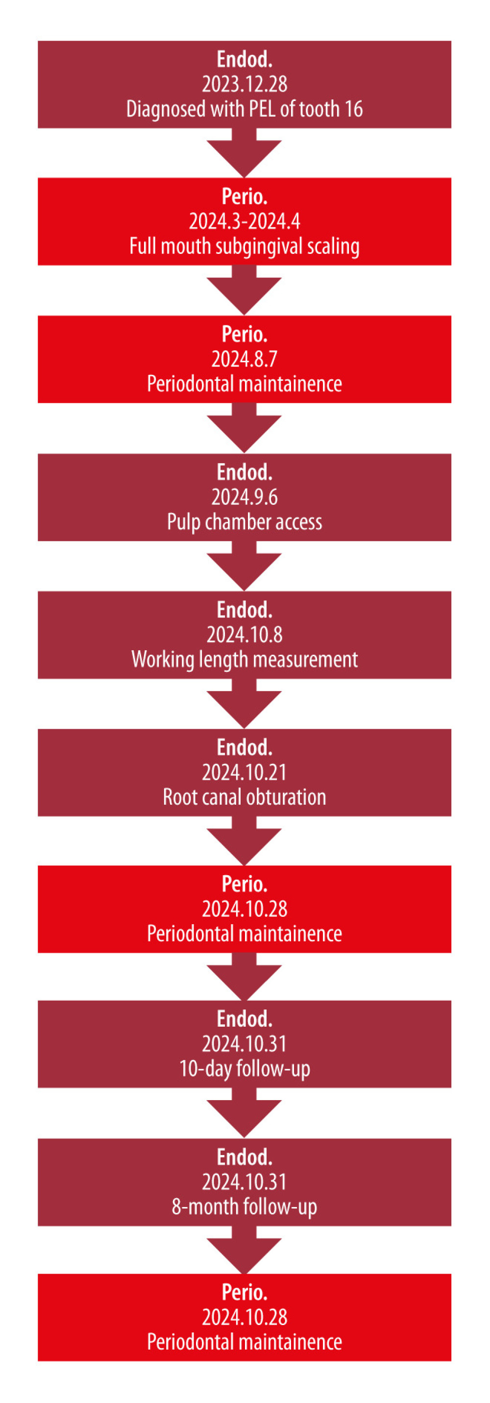 A detailed timeline depicting the episode of care.