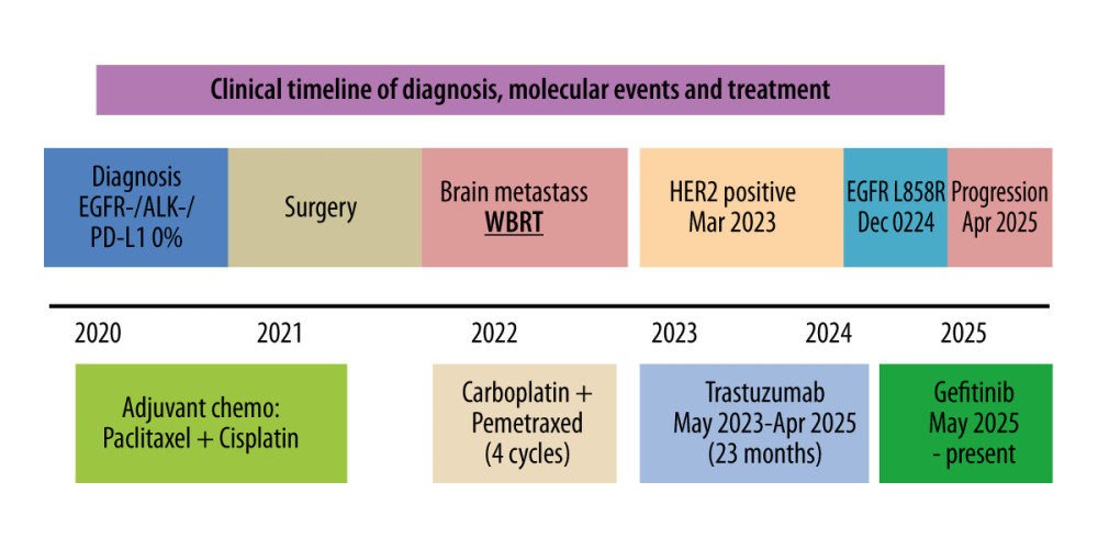 Timeline of clinical course, including key diagnostic milestones, molecular findings (polymerase chain reaction, fluorescent in situ hybridization, and next-generation sequencing), and treatment interventions.