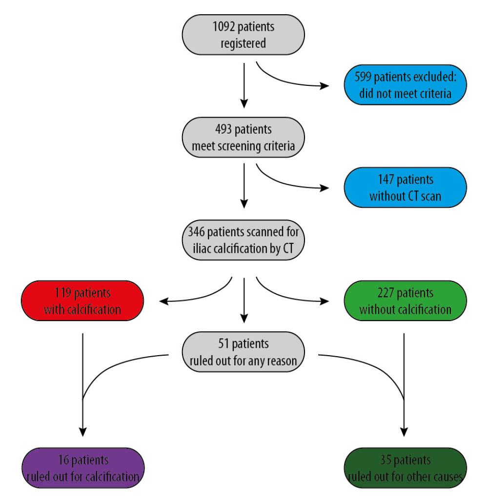 Study population, exclusions, outcomes of CT scanning, and candidate acceptance.