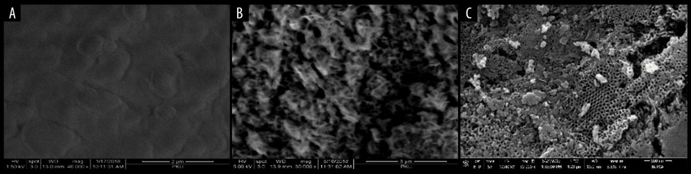 SEM images illustrating top-view for Zr-coated substrate (A) and ZrO2-coated substrate at anodic oxidation duration for 10 min (B) and 30 min (C).