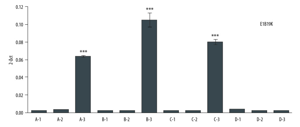 E1B19K expression in cells detected using qPCR assay. (A – HepG2 cells, B – A549 cells, C – BGC-803 cells, D – HUVEC cells. 1 – cells without transfection, 2 – cells transfected with pAAV-IRES-ZsGreen, pHelper, and pAAV-RC, 3 – cells transfected with pAAV-HE1B19K-TE1A, pHelper, and pAAV-RC). *** p<0.0001 vs. pAAV-IRES-ZsGreen group in HepG2, A549, or BGC-803 cells.