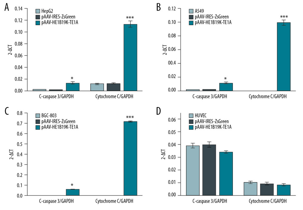 Effects of pAAV-HE1B19K-TE1A transfection on C-caspase 3 and cytochrome C expression in tumor cells and HUVEC cells using PCR assay. (A) Relative C-caspase 3 gene expression (C-caspase 3/GAPDH) and relative cytochrome C gene expression (cytochrome C/GAPDH) in HepG2 cells. (B) Relative C-caspase 3/GAPDH and relative cytochrome C/GAPDH in A549 cells. (C) Relative C-caspase 3/GAPDH and relative cytochrome C/GAPDH in BGC-803 cells. (D) Relative C-caspase 3/GAPDH and relative cytochrome C/GAPDH in HUVEC cells. * p<0.05 and *** p<0.0001 vs. pAAV-IRES-ZsGreen group in HepG2, A549, or BGC-803 cells.