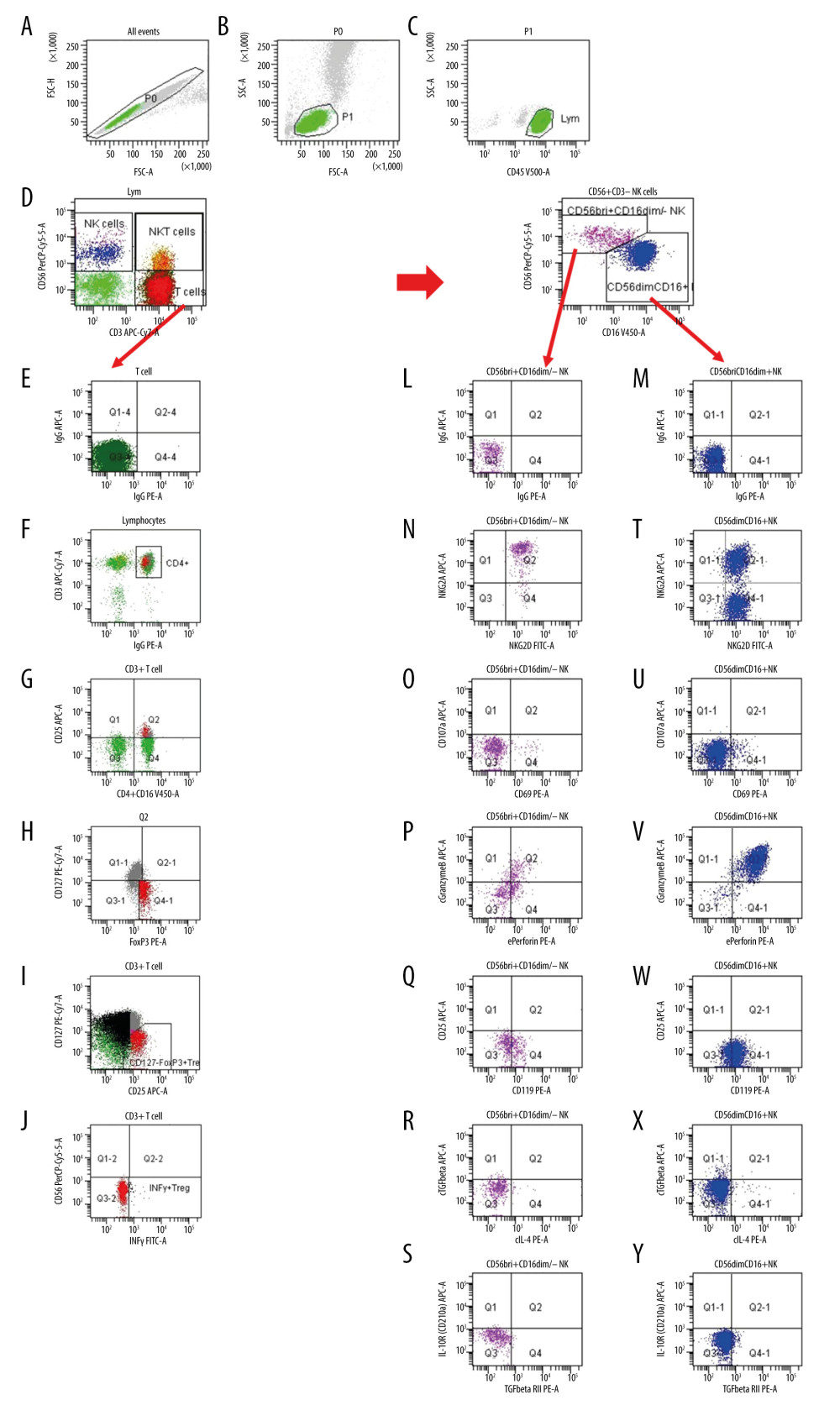 Gating strategy for the determination of NK and Treg cell subsets. (A) After excluding doublets from the total of acquired events, peripheral blood lymphocytes (PBL) were gated according to (B) FSC/SSC and (C) CD45/SSC dot plot. (D) Then, CD3–CD56+ NK cells, CD3+CD56+ NKT cells and CD3+ T cells were gated in the CD3 APC-Cy7/CD56 PerCPCy5.5 dot plot. (K) CD3–CD56+ NK cells were further analyzed according to the intensity of the CD56 and CD16 expression (CD16 V450/CD56 PerCPCy5.5 dot plot). (E, L, M) Further, dependent on isotype controls, subsets of (F–J) T cells, (N–S) CD56brightCD16dim/− NK cells and (T–Y) CD56dimCD16+ NK cells were analyzed using the depicted gate settings in dot plots of (N, T) NKG2D/NKG2A, (O, U) CD69/CD107, (P, V) perforin/granzymeB, (Q, W) IFNγR/CD25, (R, X) IL4/TGFβ and (S, Y) TGFβRII/IL10R. With respect to the determination of IFNγ+ Treg, CD3+ T lymphocytes were further analyzed and (F) CD4+ lymphocytes were identified using a mixture of CD4 and CD16 monoclonal antibody with the same color (CD4+CD16 V450/CD3 APC-Cy7 dot plot). (G) Further, CD4+CD25+ lymphocytes were gated using CD25 and the mixture of CD4 and CD16 monoclonal antibody (CD25 APC/CD4+CD16 V450 dot plot). (H) Then, CD127–Foxp3+ Treg were determined within the CD4+CD25+ lymphocyte subset (CD127 PE-Cy7/Foxp3 PE dot plot). (I) CD127-Foxp3+ Treg were additionally gated in a CD127/CD25 gate based on all CD3+ T cells (CD127 PE-Cy7/CD25 APC dot plot) and (J) IFNγ+ Treg were determined using a CD56/IFNγ dot plot (CD56 PerCPCy5.5/IFNγ FITC). FSC – forward-scattered light; SSC – side-scattered light.