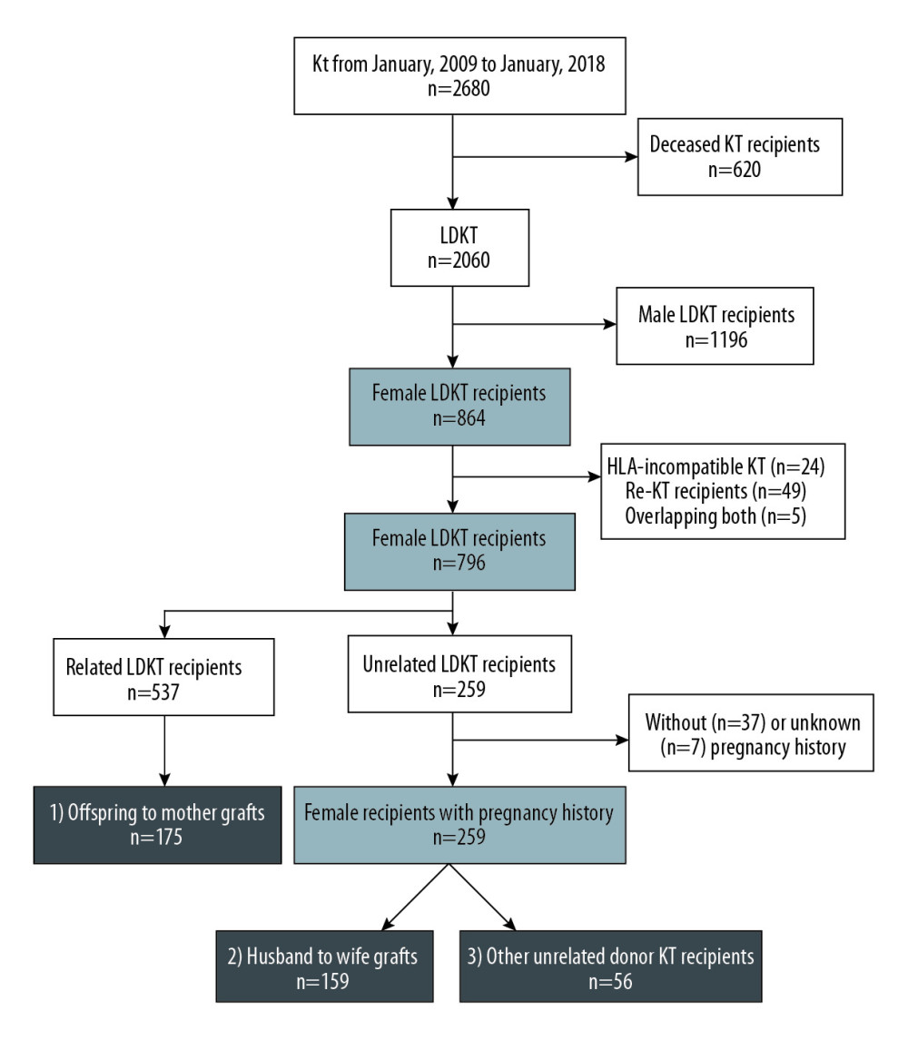 Flow diagram of the study.