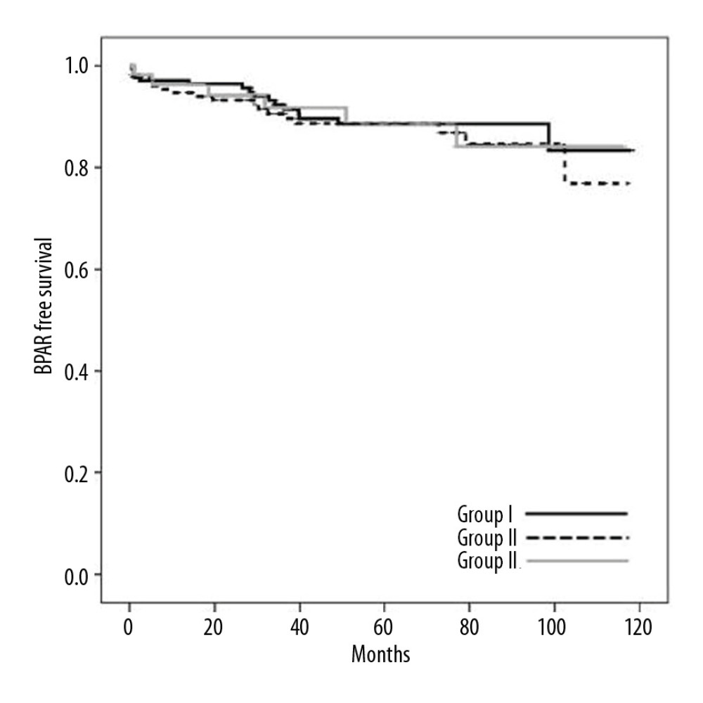 Five-year BPAR-free survival rates (88.6 vs. 88.7 vs. 88.6%, p=0.842). Kaplan-Meier curves and log-rank tests were used to describe and compare the biopsy-proven acute rejection (BPAR)-free survival.