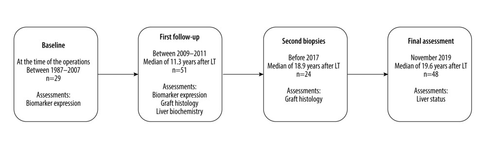 Study timeline. The biomarker immunostainings were performed on 29 biopsies taken intraoperatively at the LT (baseline biopsies). At the first follow-up a median of 11.3 years after LT, the biomarker expression, liver biochemistry, and histology were assessed in 51 patients. Liver biochemistry and clinical status of the liver were recorded at the final assessment at a median of 8.4 years after the first follow-up and 19.6 years after LT. Second liver biopsies taken after the first follow-up but before the final assessment were available from 24 patients.