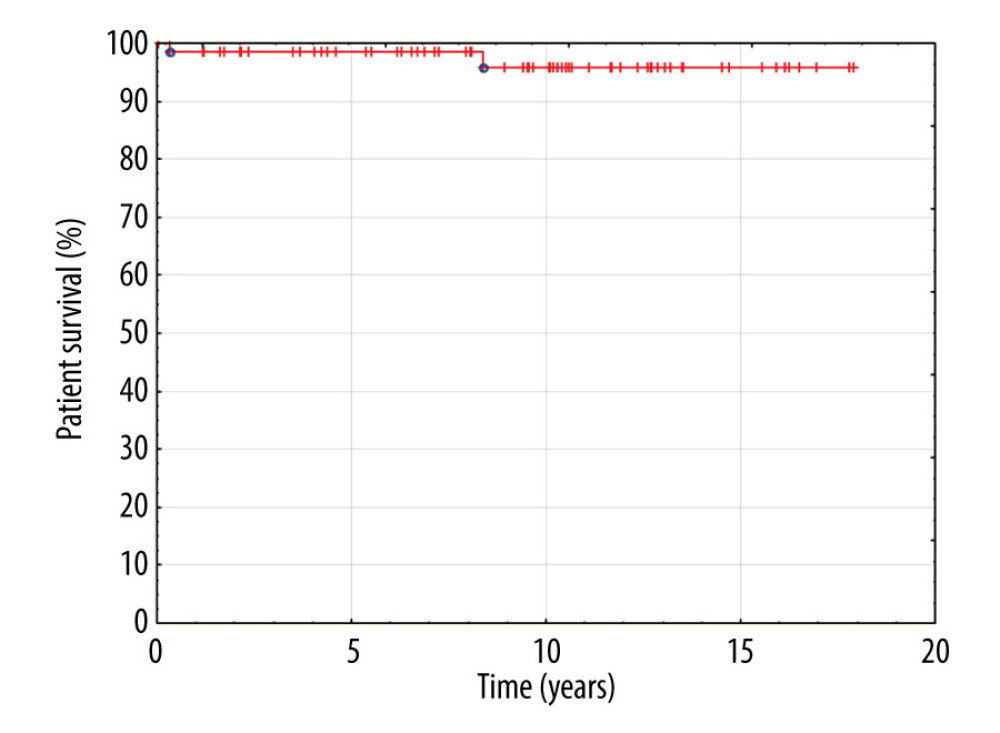 Kaplan-Meier patient survival curve.