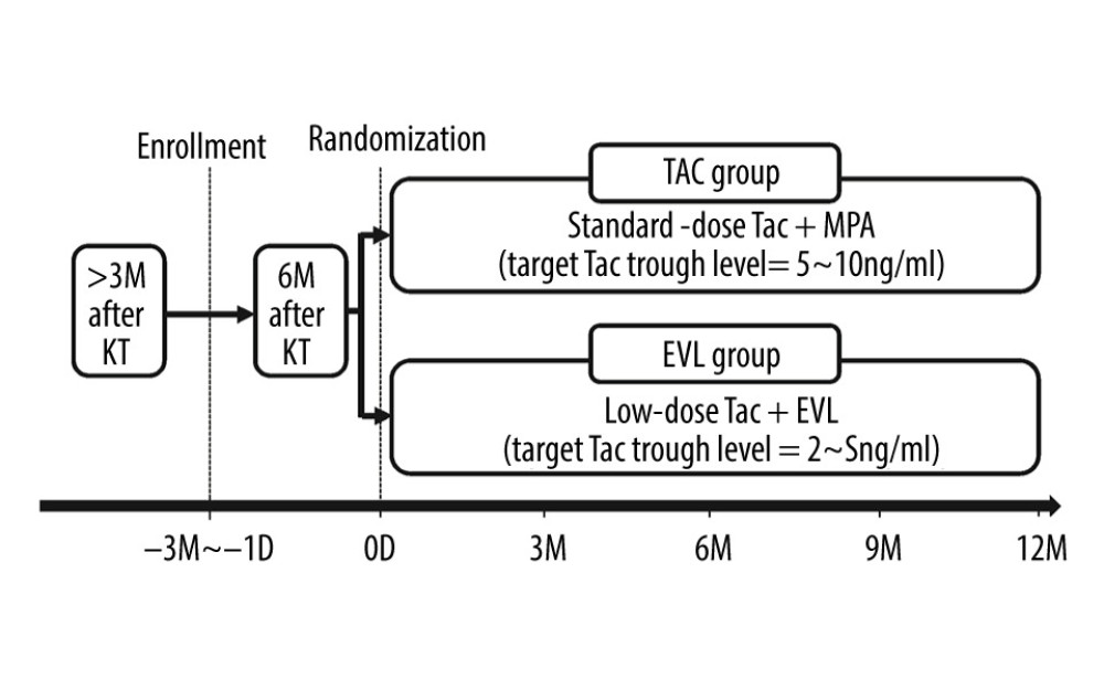 Overview of study protocol. The KT recipients who signed informed consents were allocated with randomization into 2 groups: “EVL group” or “TAC group,” at 6 months after KT. KT – kidney transplantation; Tac – tacrolimus; EVL – everolimus; D – day; M – month.