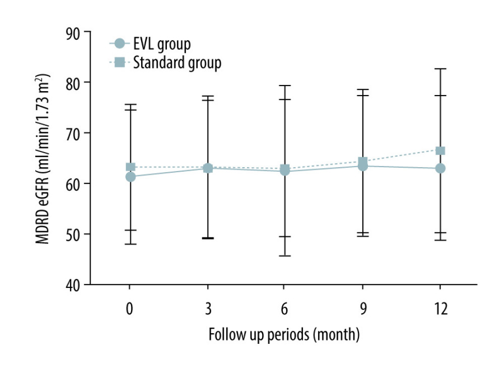 Change of allograft function in ITT population. The figure shows the course of the mean MDRD eGFR from the baseline to 12 months in the ITT population. Vertical error bars indicate the respective standard deviations. MDRD – modified diet and renal disease; eGFR – estimated glomerular filtration rate; ITT – intention-to-treat.